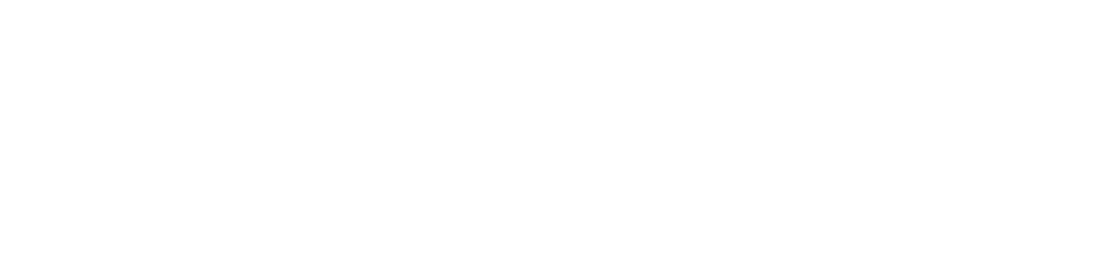 Eversmile Logo